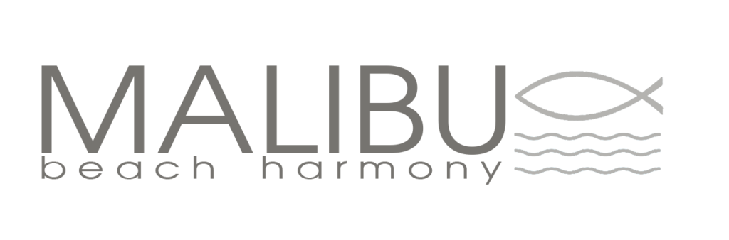 logo lido malibu beach silvi marina